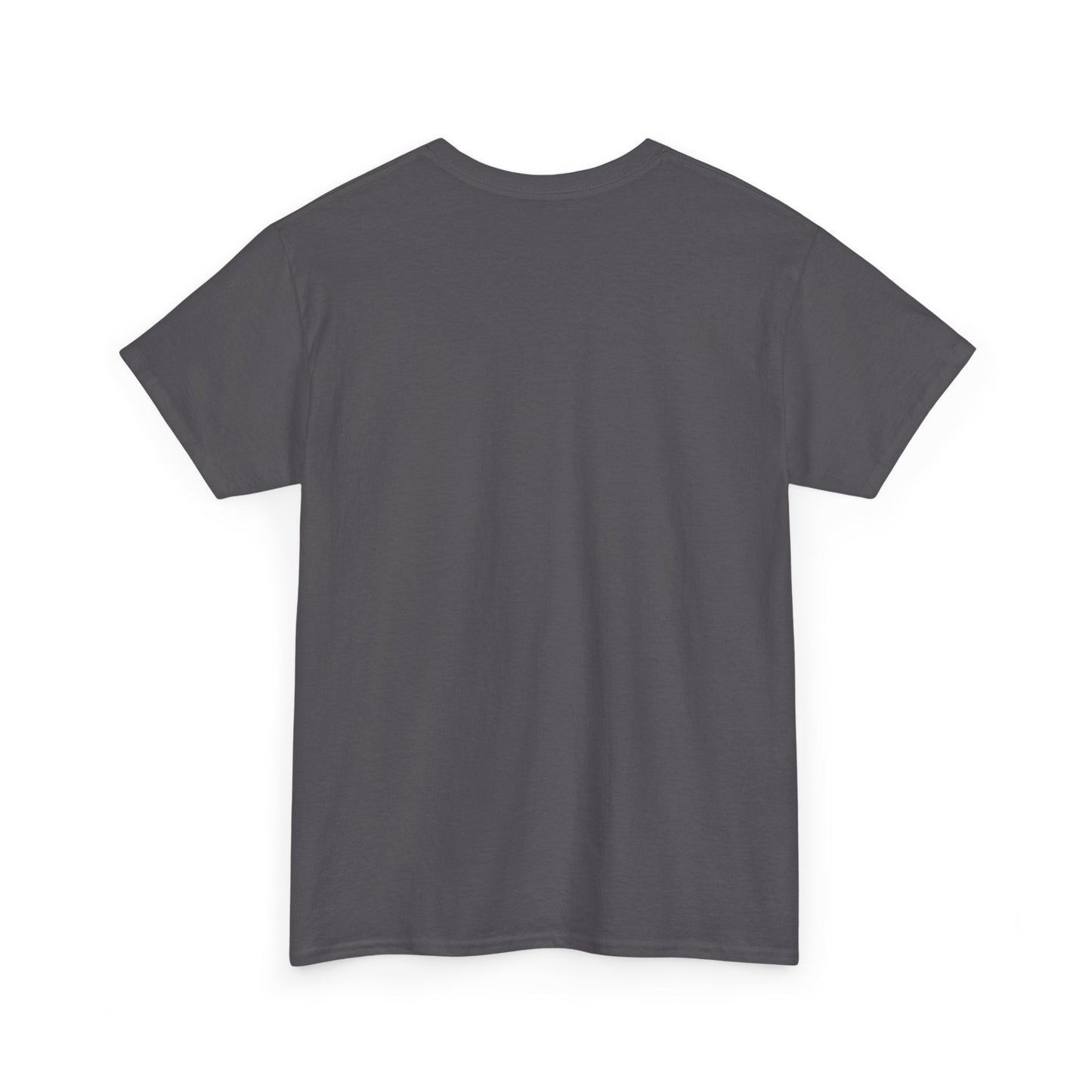 Booktrovert Unisex Heavy Cotton Tee