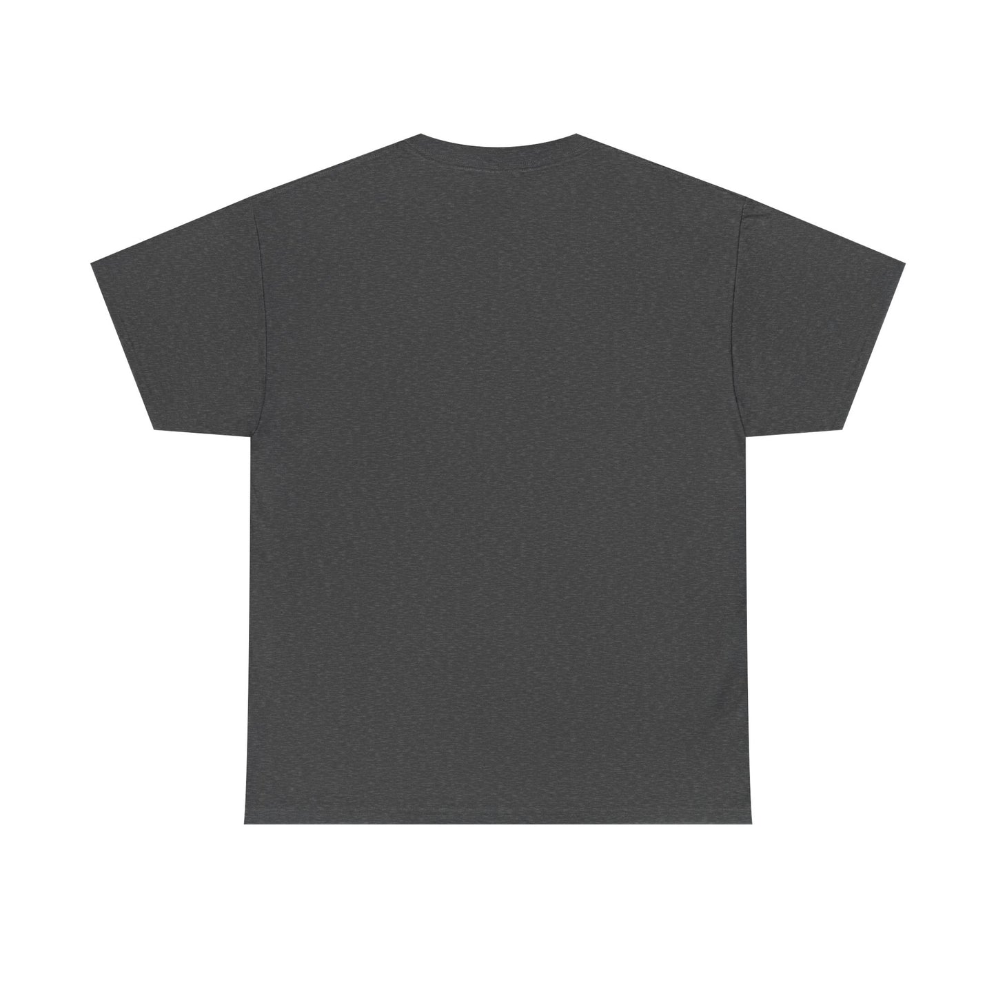 Booktrovert Unisex Heavy Cotton Tee